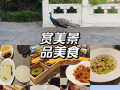 -有喜胶东小馆(太申祥和店)
