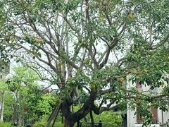 -赤坎·广东华侨国际旅游度假区