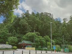 -顺峰山公园
