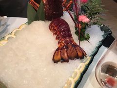 -红门金汤·港式火锅(英皇集团中心店)