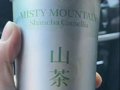 -雾与山茶(大禹城店)