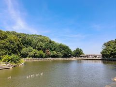 -广州市帽峰山景区