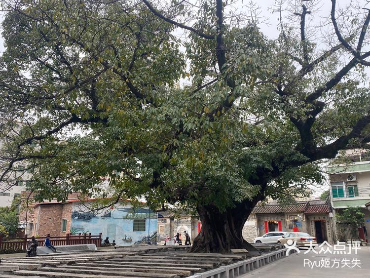 南岭村-大众点评