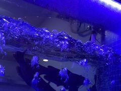 -云中鱼蒸汽石锅鱼(川沙百联店)