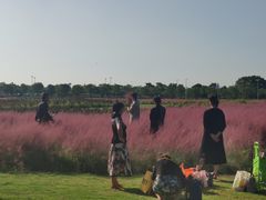 -尚贤河湿地