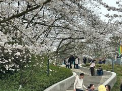 -杭州少年儿童公园