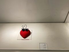 -罗红摄影艺术馆