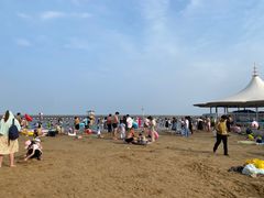 -碧海金沙