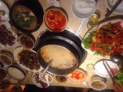 英子狗肉馆-英子补身汤(海兰路店)