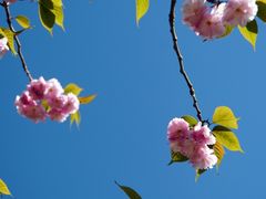 -上海滨江森林公园