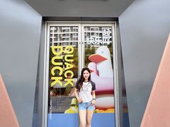 -远洋未来汇