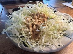-山杏yama-katsu·吉列炸物