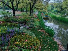 -上海共青森林公园