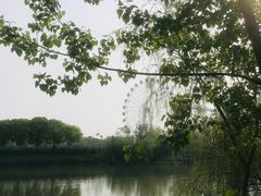 -七桥瓮公园