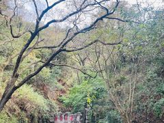 -颛顼龙洞旅游景区