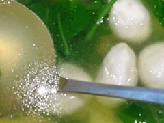 -丁老爷子苏香圆