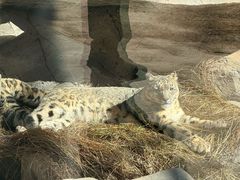 -青藏高原野生动物园
