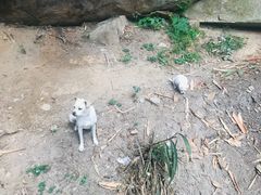 -云洞岩风景区