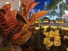 -香蜜轩·粤菜·宴会(世界之窗店)