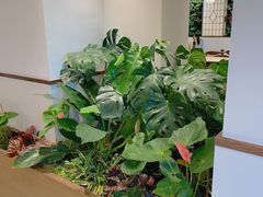 -Peet's Coffee皮爷咖啡(上海长风大悦城店)