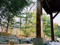 -和园景逸大酒店朗月汤泉