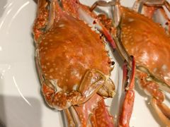 -必点海鲜·海肠捞饭·鲅鱼水饺(滨江道店)