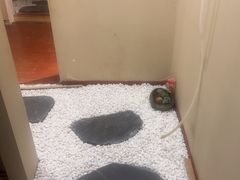 -养心阁足道馆(火宫殿一店)