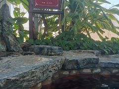 -中家鑫园温泉酒店鑫悦汤泉