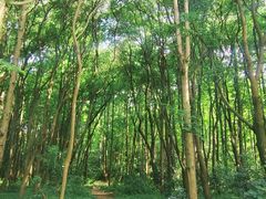 -同里国家湿地公园