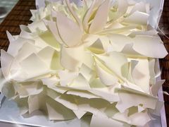 至美14cmx14cm-BLACKSWAN黑天鹅(环球店)