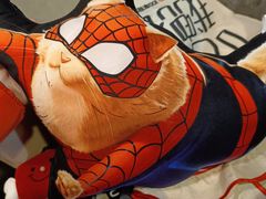 -Sony Store 索尼(上海淮海中路店)