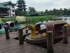 -桂湖森林公园