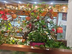 -洞庭家宴·头牌甲鱼(广渠门店)