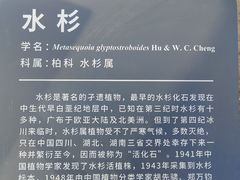 -国家植物园南园