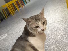 -谜盒子奇幻密室(南屏店)
