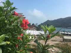 -东澳岛