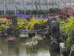 -南通洲际绿博园