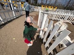 -前小桔亲子创意农场·草莓采摘·露营烧烤