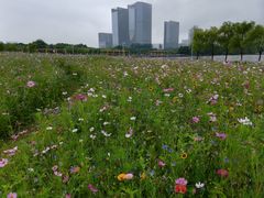 -白塘生态植物园