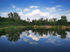 -永定河休闲森林公园