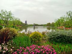 -上海鲜花港