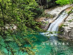 -黄山翡翠谷景区
