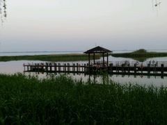-太湖湖滨国家湿地公园-停车场