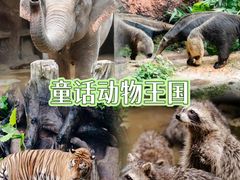 -长鹿旅游休博园