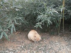 -三义和酒楼(千佛山店)