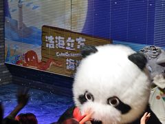 -成都浩海立方海洋公园