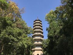 -灵谷景区