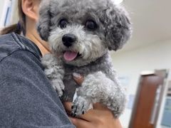 -美联众合动物医院·24h转诊中心