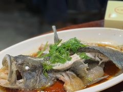 清蒸石斑鱼-老蒲田·渔乡楼