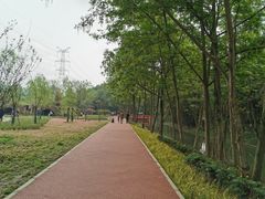 -桤木河湿地公园